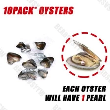 1-50 pack Individually Wrapped Oysters whith Natural Pearl Holiday Birthday Gift