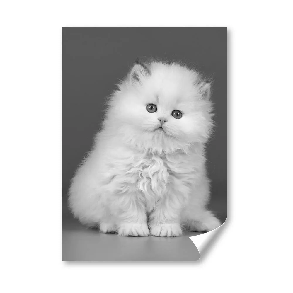 Premium Photo  Christmas gifts with persian cats, vintage filter image