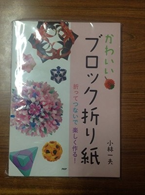 Pretty 3D Block Origami - Kusudama, Flower.../Japanese Paper Cra... book form JP