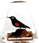 Vintage Hand Carved Painted Blackbird Lucite/Acrylic Unique Canada Paperweight — photo 5