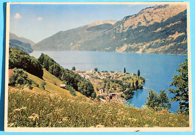 Postcard MURG AM WALENSEE, ST. GALLEN, SWITZERLAND (4 x 5.75'')