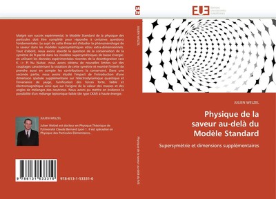 Physique de la saveur au-delà du Modèle Standard | Julien Welzel | Französisch
