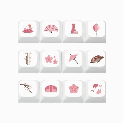 12Keys XDA Profile Keycap PBT Dye Sublimation Keys for SK61 TKL87 108