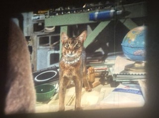 16mm Feature Film: CAT FROM OUTER SPACE 1978 Disney Classic INCREDIBLE COLOR