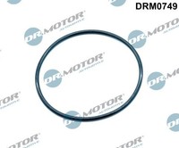 Dr.Motor Automotive DRM0749 Dichtung, Agr-Ventil FüR Vw