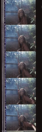 Jurassic Park 35mm Film Cell strip very Rare var_a - Picture 120 of 132