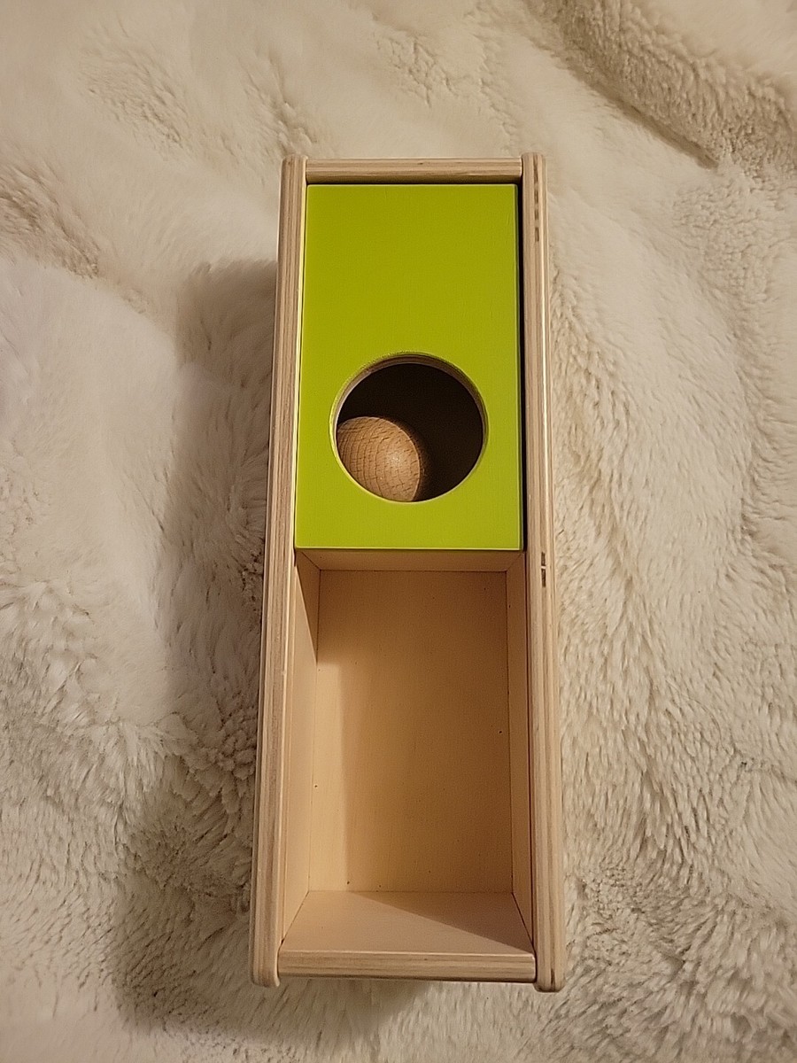 LOVEVERY The Thinker Play Kit 11-12ヶ月 The Thinker Play Kit | Toys for 11- Month and 1-Year-Olds