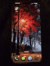 iPhone 16 pro max With TikTok Installed Unlocked