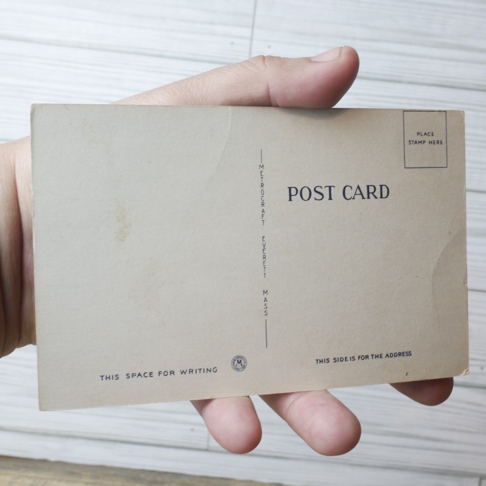 Vintage Humor Romance Postcard "Nuts to You Too" Unused Item eBay