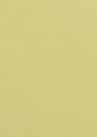 Pollen By Clairefontaine Papier Din A4, Chamois 1 Bis 20 Stk Spare 54%