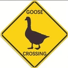 Goose Crossing Sign Flat Wall Art Vintage Style  Decorative Humorous 8x8 Inch