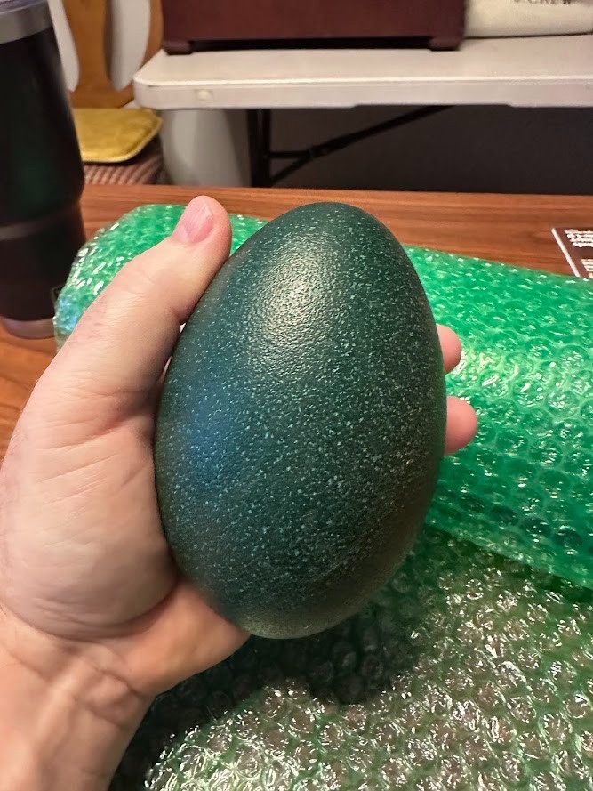 FERTILE EMU EGGS (2) - PROVEN BREEDERS MIXED DNA - SHIPS VIA PRIORITY MAIL