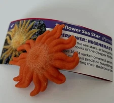 Yowie Sunflower Sea Star Collectible Miniature Figurine from Super Power Series