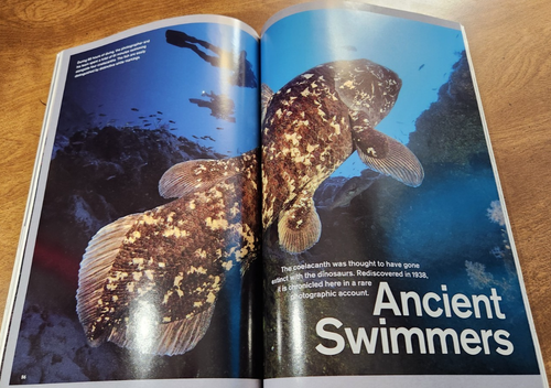 National Geographic Vol. 219 No. 3 Designing The Perfect Pet Magazine March 2011 - Picture 7 of 8