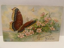 Vintage Butterfly Greetings Postcard C Early 1900s, Blank