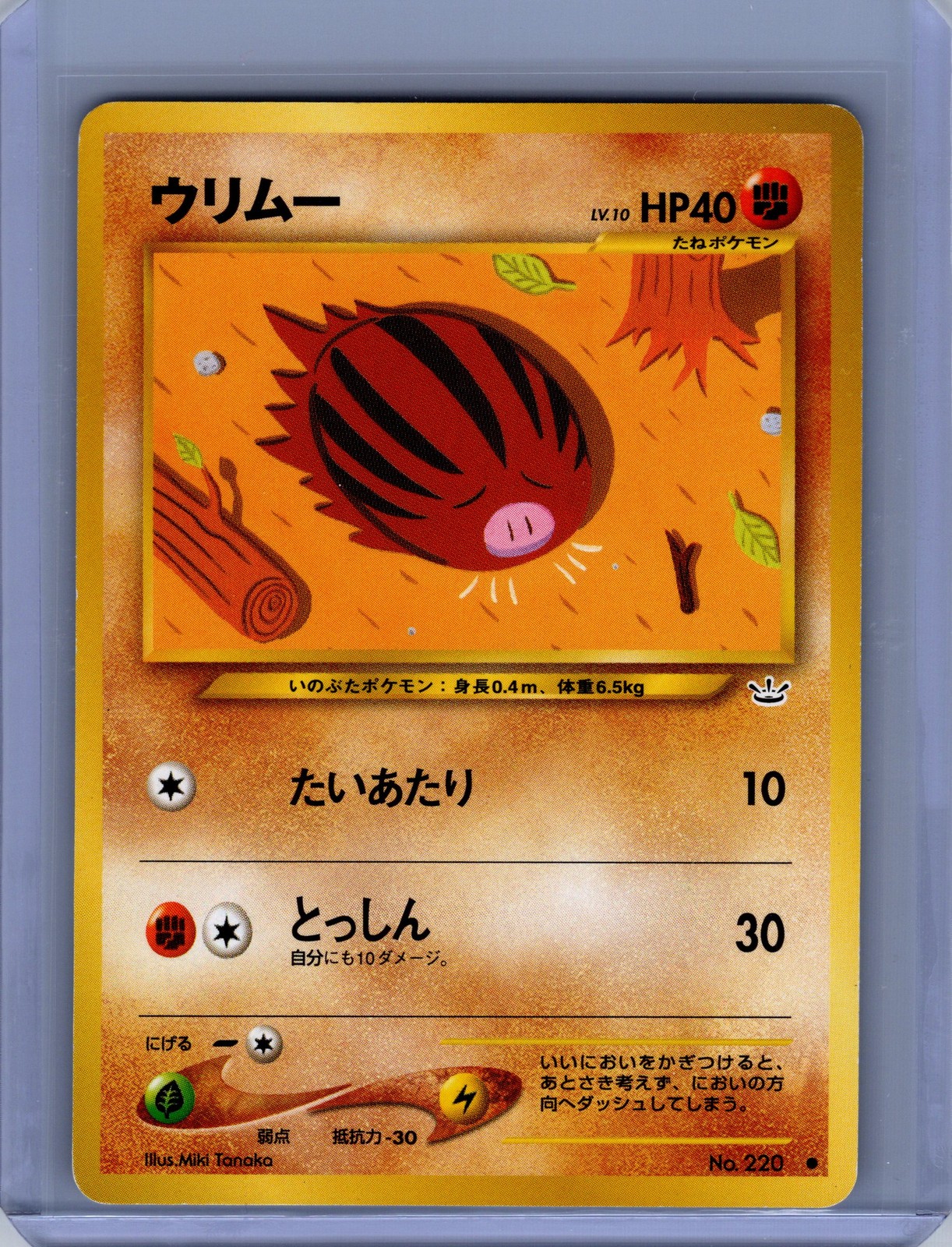 Pokemon Awakening Legends #220 Swinub Near Mint or Better