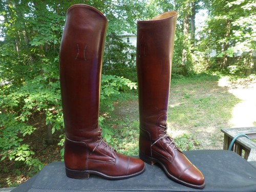 Field Hunting Horse Fox Eventing 