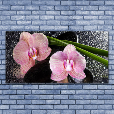 Impression sur verre acrylique Image Tableau 140x70 Nature Jardin Fleurs Arbre