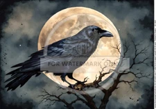 Moonlight Crow | A3 Rice Paper | Paper for Decoupage | Decoupage Central
