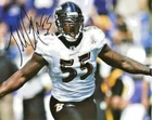 TERRELL SUGGS signed BALTIMORE RAVENS 8X10 photo w/COA