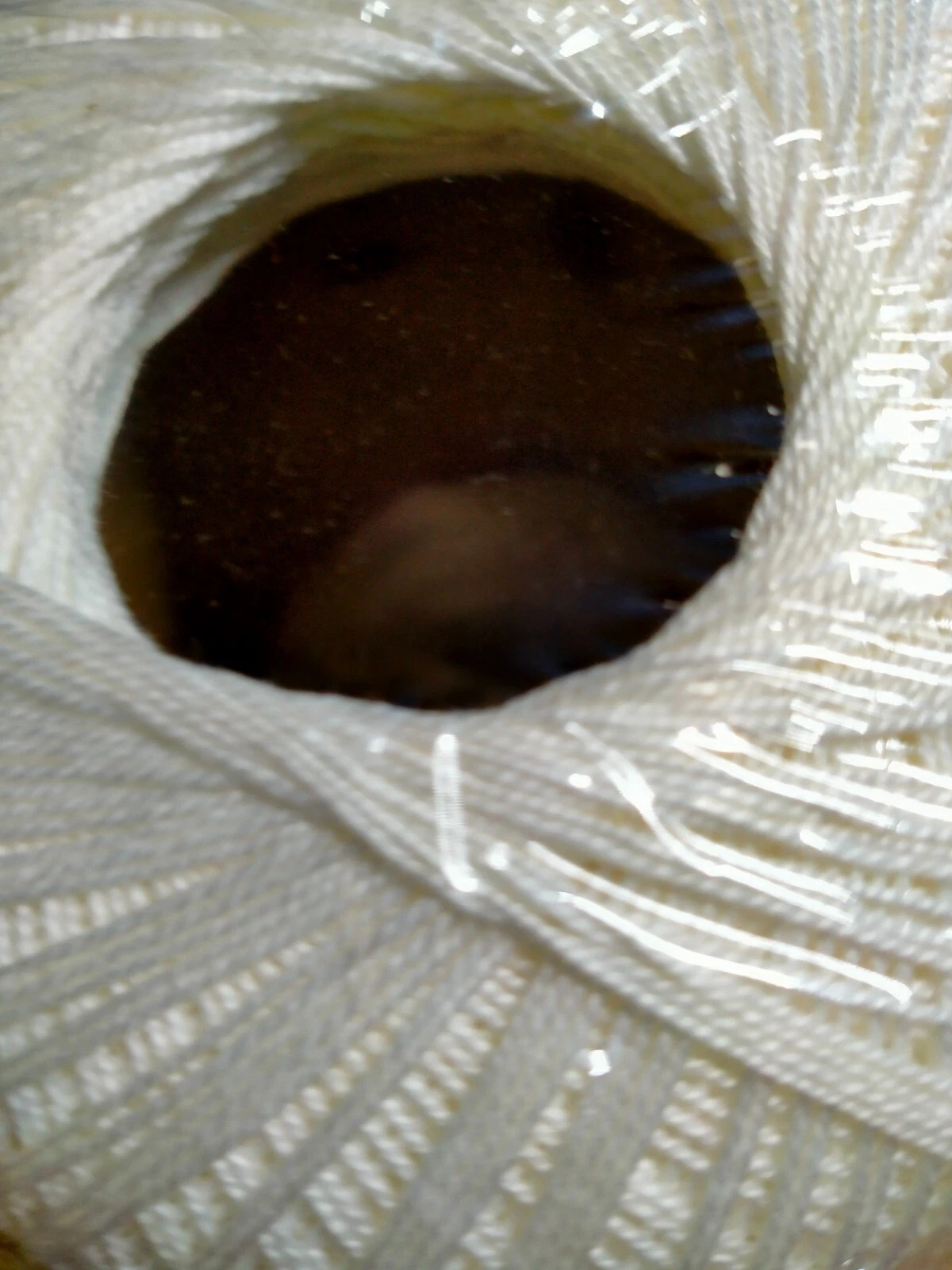 Picture 4 of 4