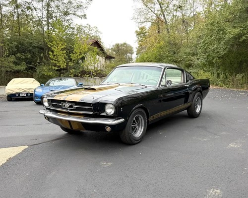 1965 FORD MUSTANG MUSTANG FASTBACK HERTZ GT350 289 5SPD