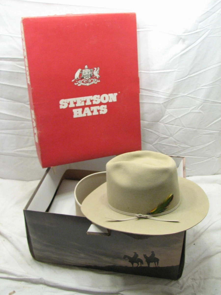 Stetson Cowboy Vintage Men's 6 7/8 Size for sale | eBay