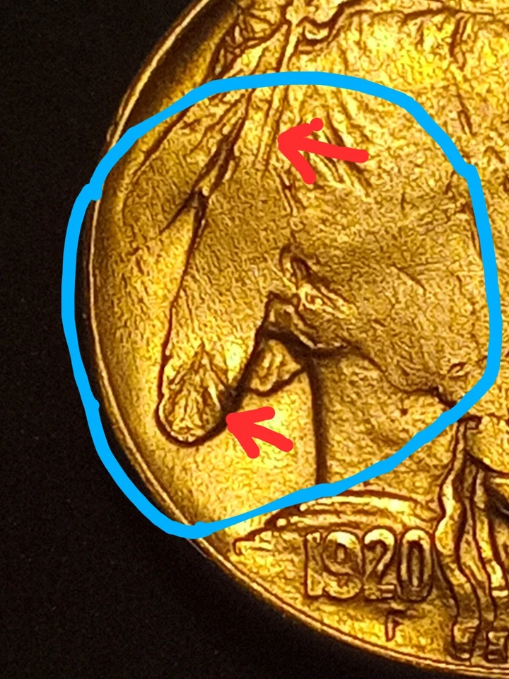 1920-D BUFFALO NICKEL BU DDO date 'STRUCK THRU GREASE' Error variety craziness! - Image 4 of 4