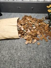 34.02lb  Wheat Pennies Bag 1909-1958 Lincoln Cents Bulk Lot Canvas...