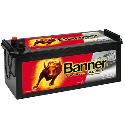 Banner Buffalo Bull PROfessional SHD PRO 72503 225Ah LKW-Batterie Nutzfahrzeug