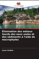 Iyasu Gudisa | ÉLimination Des MéTaux Lourds Des Eaux UséEs Et Des SéDiments...