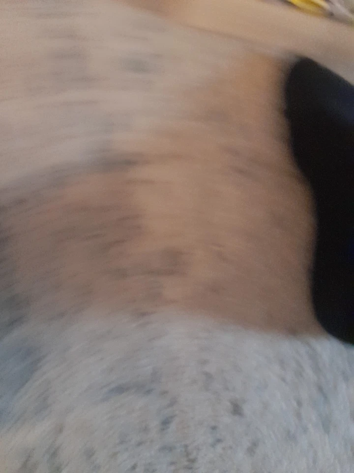 True Romance Arrow Limited Edition UK Region B Blu-ray - Image 4 of 4