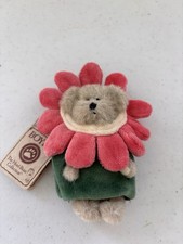 Boyds Bears Mini Peeker of the Month Plush Ca...