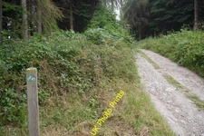 Photo 6x4 Forest road, Bedstone Hill Pentre Hodre Mindless prohibition fo c2016