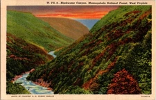 State Of West Virginia WV : PANORAMIC SCENE d/24 BE5489