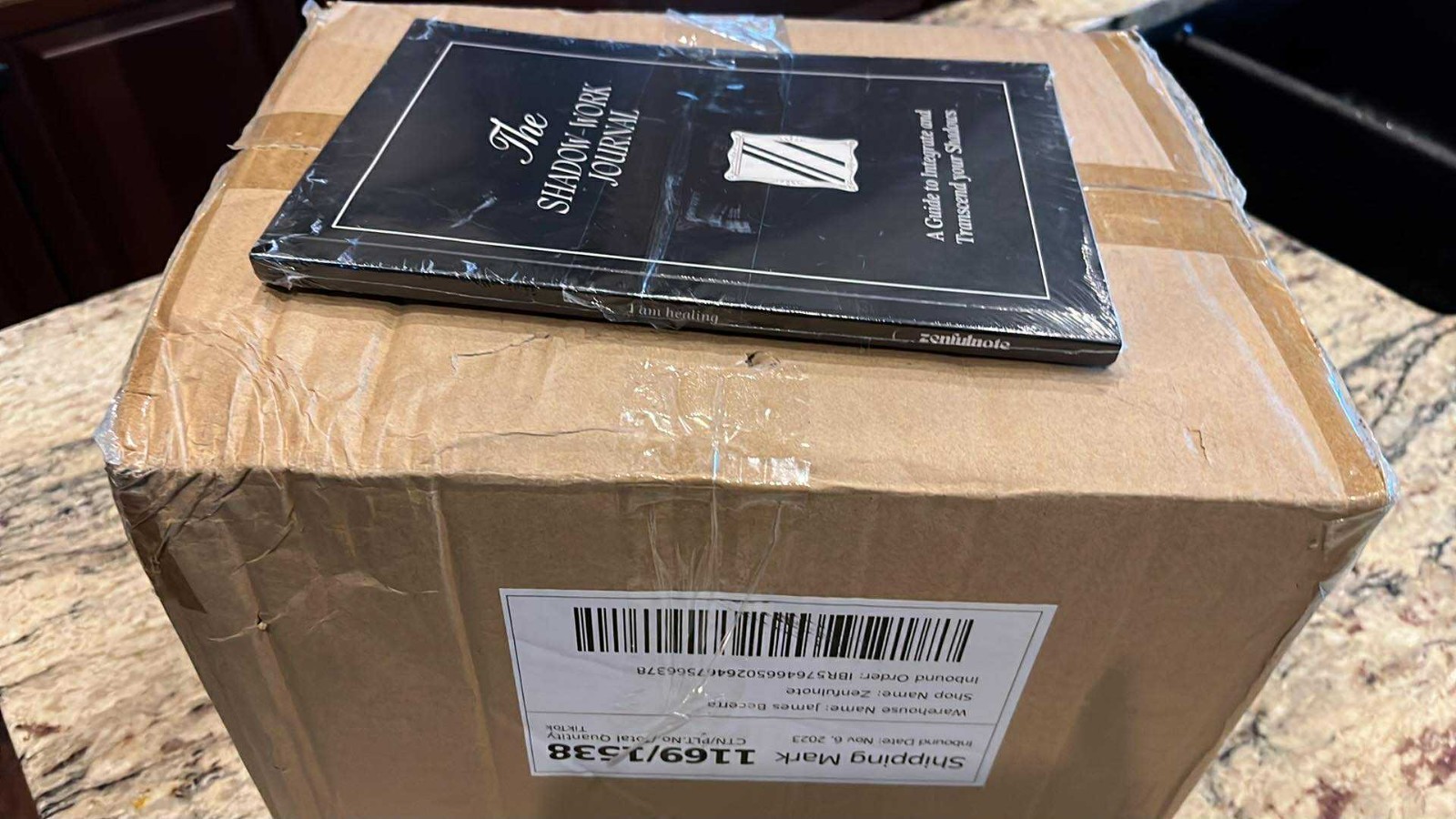 The Shadow Work Journal a Guide to Integrate Transcend Your Shadows lot 46 books