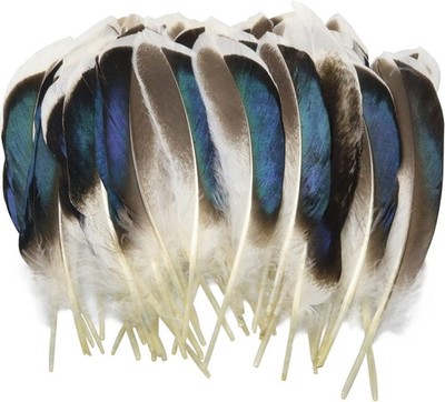 150PCS Duck Feathers, Natural Feather for DIY Craft Art, Decor Feathers for Carn