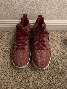 lebron xv size 14
