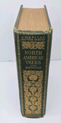 North American Trees by Nathaniel Lord Britton 1908 First Edition Hardcover Book