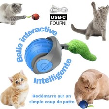 Balle Interactive Automatique Intelligente pour Chat & Chien. Avec Queue Ponpon