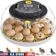 Automatic Chicken Egg Incubator Temperature Control Humidity Display Egg Turner