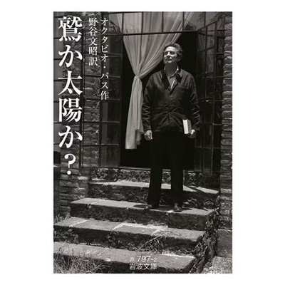 Eagle or Sun Novelty Book Iwanami Bunko Excellent For Ages 14+