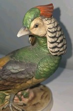 Vintage Lady Amherst Pheasant Statue Figurine Hand Painted Bird Game Andrea