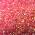 Bild 6 von 26