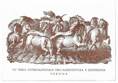 VERONA (368) - VERONA 75^ International Fair Agriculture - FG/Non Vg - F.D.C. 1973