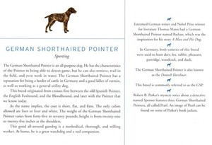 German Pointer Short - CUSTOM MATTED Dog Art Print - Breed Description History
