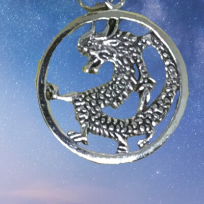 Handgefertigte runde Drachen Kordel Halskette Geschenk Strumpf Füller MTO151