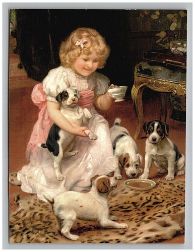 Young Girl In Dress Playing With Puppy Dogs Art Chrome Reprint Postcard