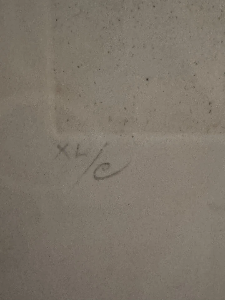 Salvador Dalí "The Hippies: Woman with Garter" 手工签名蚀刻 – 超现实主义者 — 第 3/4 张图片