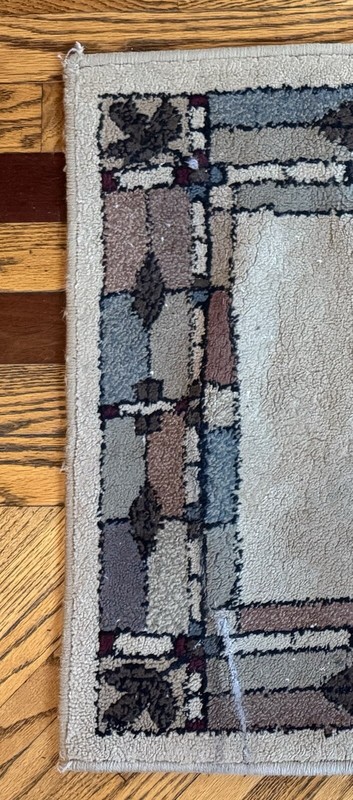 Contemporary Entryway Area Rug - Not Dirty! Those Are Shadows!!￼